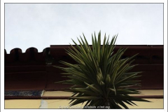 600_461952276 600_461952276