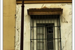 600_461952276 600_461952276