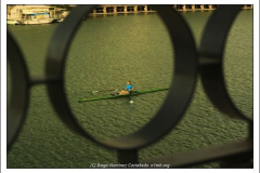 600_461952276 600_461952276