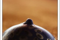 600_461952276 600_461952276