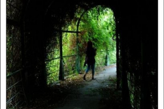 600_461952276 600_461952276