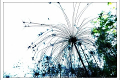 Diego Martínez Castañeda Diego Martínez Castañeda