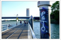 Diego Martínez Castañeda Diego Martínez Castañeda