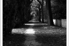 Diego Martínez Castañeda Diego Martínez Castañeda