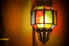 Pilivigo 4 Pilivigo 4