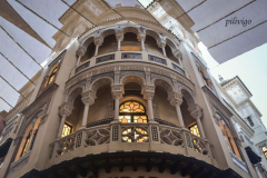 Pilivigo 4 Pilivigo 4