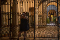 Pilivigo 4 Pilivigo 4