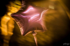 Pilivigo 4 Pilivigo 4