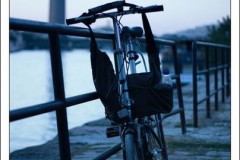 Anastasia Kondratieva Anastasia Kondratieva