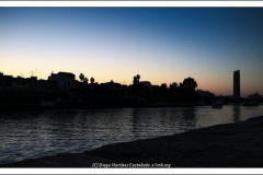 Diego Martínez Castañeda Diego Martínez Castañeda