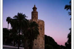 Diego Martínez Castañeda Diego Martínez Castañeda