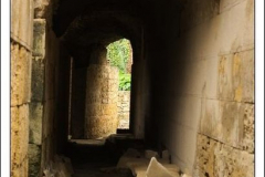 Diego Martínez Castañeda Diego Martínez Castañeda