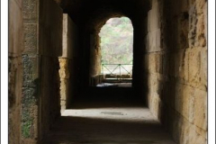 Diego Martínez Castañeda Diego Martínez Castañeda