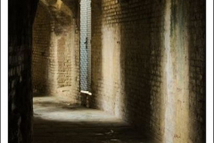 Diego Martínez Castañeda Diego Martínez Castañeda