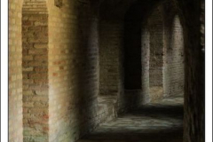 Diego Martínez Castañeda Diego Martínez Castañeda