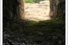 Diego Martínez Castañeda Diego Martínez Castañeda