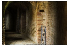 Diego Martínez Castañeda Diego Martínez Castañeda