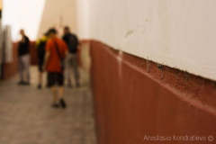 Anastasia 9 Anastasia 9