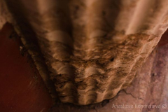 Anastasia 9 Anastasia 9