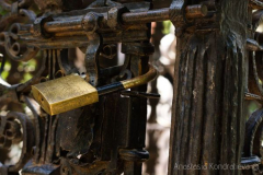 Anastasia 9 Anastasia 9