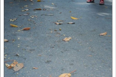 600_461952276 600_461952276