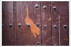 600_461952276 600_461952276