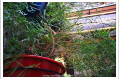 600_461952276 600_461952276