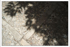 600_461952276 600_461952276