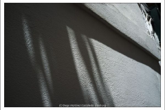 600_461952276 600_461952276