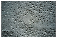 600_461952276 600_461952276