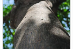 600_461952276 600_461952276