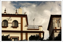 Diego Martínez Castañeda