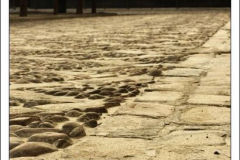 Diego Martínez Castañeda