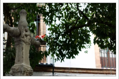 Diego Martínez Castañeda