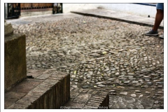 Diego Martínez Castañeda