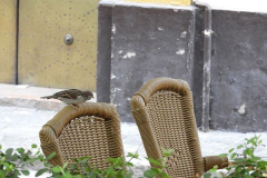 Eva María Fernández