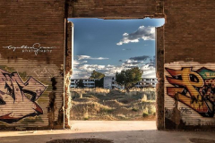 Cyntia Gomar Cyntia Gomar