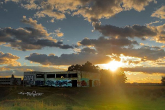 Cyntia Gomar Cyntia Gomar