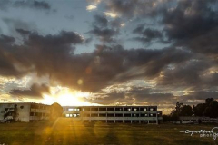 Cyntia Gomar Cyntia Gomar