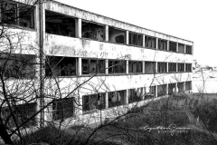 Cyntia Gomar Cyntia Gomar