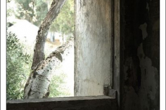 Diego Martínez Castañeda Diego Martínez Castañeda