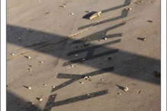 Diego Martínez Castañeda Diego Martínez Castañeda