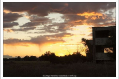 Diego Martínez Castañeda Diego Martínez Castañeda