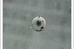 Diego Martínez Castañeda Diego Martínez Castañeda