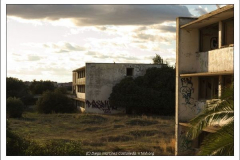 Diego Martínez Castañeda Diego Martínez Castañeda