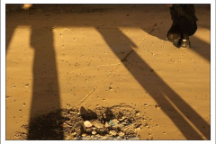 Diego Martínez Castañeda Diego Martínez Castañeda