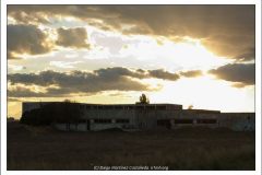 Diego Martínez Castañeda Diego Martínez Castañeda