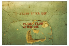 Diego Martínez Castañeda Diego Martínez Castañeda