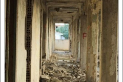 Diego Martínez Castañeda Diego Martínez Castañeda