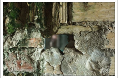 Diego Martínez Castañeda Diego Martínez Castañeda